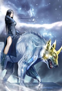 无限之绝对疯狂